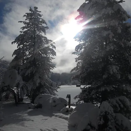 Wildkogel 2 By Interhome Wald im Pinzgau