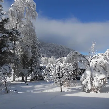 Appartement Wildkogel 2 By Interhome *